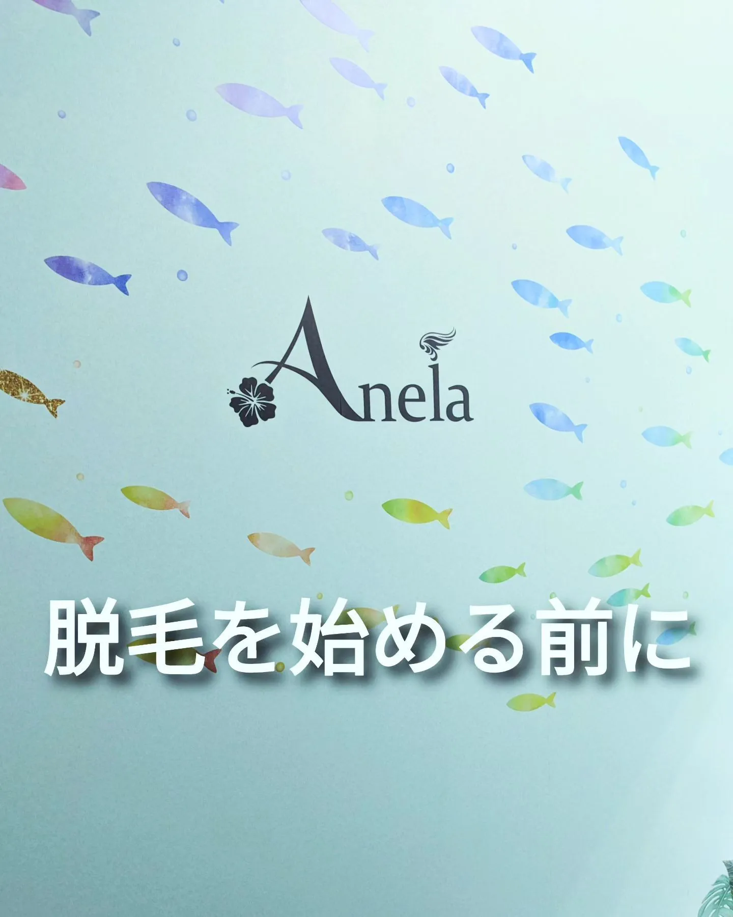 甲賀市、湖南市で脱毛始めるならAnelaがオススメ。