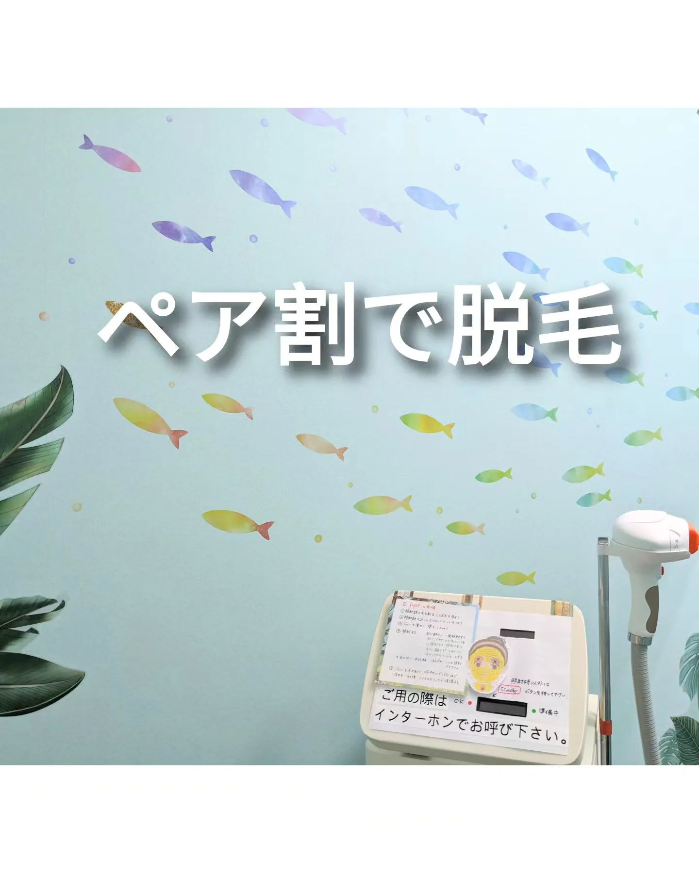 甲賀市、湖南市て脱毛するならAnela。